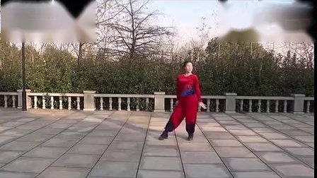 杨艺广场舞《梦中的额吉》教学高清视频免费下载下载