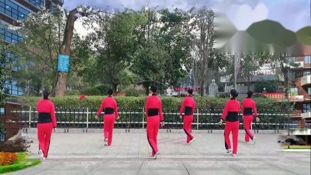 吉美广场舞《我在2020年等你》（6人）教学视频基础步慢动作分解法教程高清下载下载