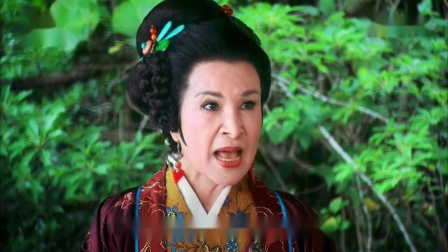 杨丽花歌仔戏《忠孝节义》他叫媒婆放风声 戏曲高清视频mp4免费下载下载