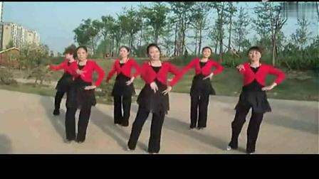 美久广场舞《我从草原来》简单好学教学高清