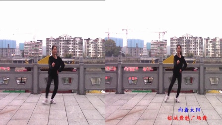 応子广场舞《向着太阳》 广场舞视频大全 教