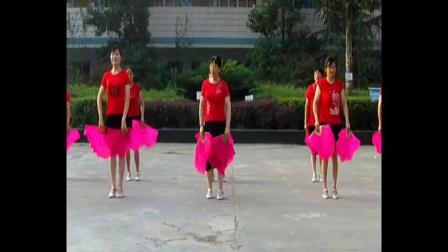 美久广场舞《今天是你的生日》 教学高清视频免费下载下载