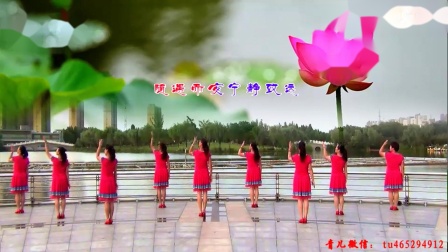 青儿广场舞《来生愿做一朵莲》简单好学教学
