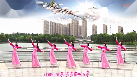 青儿广场舞《梅花泪》简单好学教学高清视频