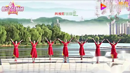 青儿广场舞《难忘今宵》教学高清视频免费下