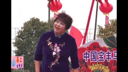 河南坠子《八王私访》戏曲高清视频mp4免费
