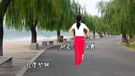 阿采广场舞教学《女人不容易》混搭弹跳32步