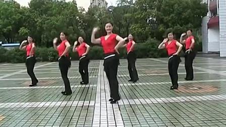 高安子君广场舞  《漂亮姑娘》教学高清视频