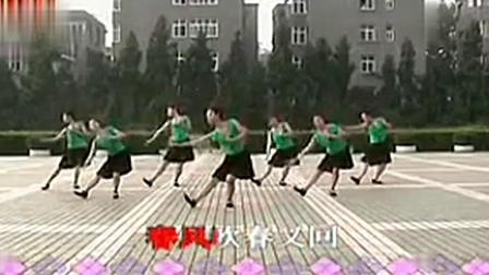 高安子君广场舞 《 春天蝴蝶飞》教学高清视