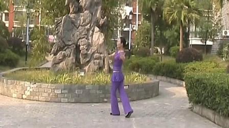 高安子君广场舞 《 梅花泪 》 背面 教学高