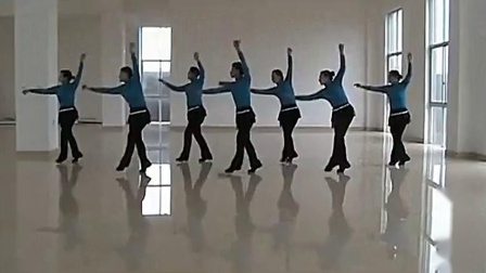 高安子君广场舞 《 黑骏马》教学高清视频免