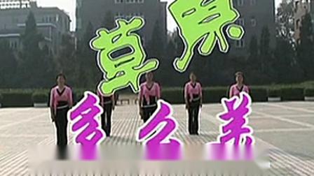 高安子君广场舞  《草原多么美》教学高清视