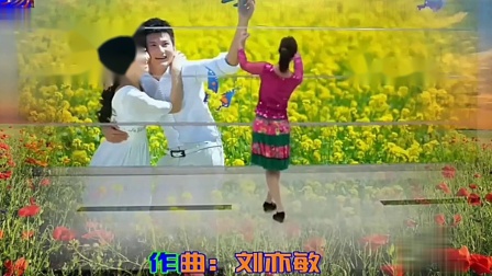 高安子君广场舞  《又见两只蝴蝶飞》  背面