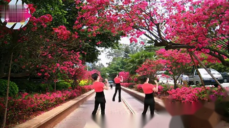 宇美广场舞《山里红》（背面）教学视频基础步慢