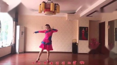美久广场舞 《荞麦花》 背面教学高清视频免