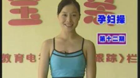 孕妇操第12期  教学视频mp4免费下载