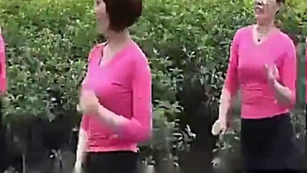 周思萍广场舞 《游牧情歌》教学视频基础步