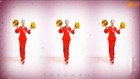 金灿灿广场舞《岁岁好年》教学视频基础步慢