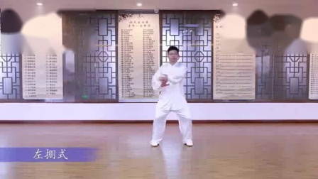 太极拳八法五步分解教学视频 mp4免费下载