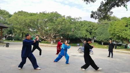 杨老师42式太极拳 高清视频mp4免费下载
