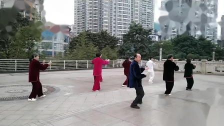 晨练杨式85式太极拳 高清视频mp4免费下载