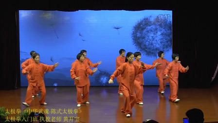 29 太极拳《中华武魂 陈式太极拳》 高清视