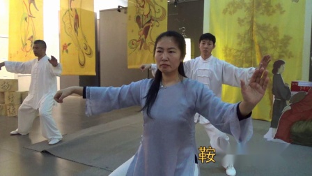 陈氏太极拳老架一路 高清视频mp4免费下载