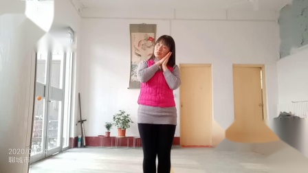 幼儿舞蹈《萤火虫对星星说》最新教学视频大