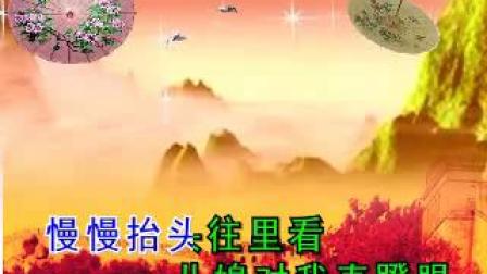民间小调《农村留守老人难》（纯伴奏）戏曲大全