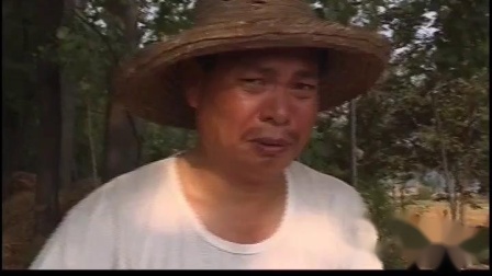 太康道情《少子多福》戏曲高清视频mp4免费