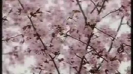 河南琴书《老鼠告猫》戏曲大全mp3免费下载