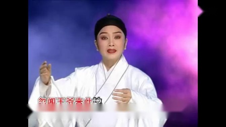 潮剧《腔怨气恨难平》选段 林燕云 林武燕 戏曲名段免费下载下载