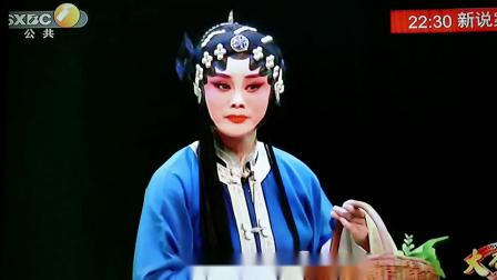 秦腔《王宝钏赶坡》选段（国家一级演员 梅花