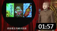 《春季的饮食》方清平单口相声 在冰激凌店