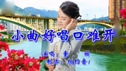 民间小调《小曲好唱口难开》戏曲大全mp3免