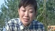 民间小调《五小燕哭妈》戏曲高清视频mp4免