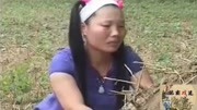 民间小调《苦女哭坟》戏曲大全mp3免费下载