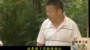 民间小调《小憨妮做梦》戏曲高清视频mp4免