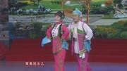 《打秋千》赵晓波一段二人转小帽 唱功一流 不愧是国家级二人转老师下载