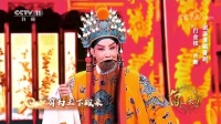 晋剧下载 免费 mp4《打金枝》选段 谢涛老师