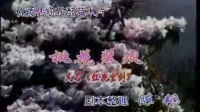 花鼓戏全集mp4下载免费《桃花装疯》