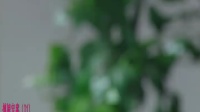 兰溪红星花鼓戏下载免费视频观看《摸牌定案》01 主演 张丽娟 孙四清 何小群 任丹下载