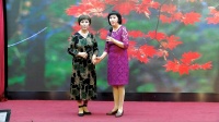沪剧下载免费mp4《红叶魂》母女会 阙丽芳 