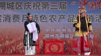朔州大秧歌《武家坡》视频mp4免费下载 六女