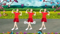 dj广场舞视频大全新舞《谁家的姑娘》简单更