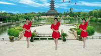 广场舞健身操减肥操下载《美丽的七仙女》优
