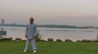 龚老师85式太极拳（2020版）上集 视频mp4免费下载下载
