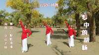 云裳广场舞《梦中的胡杨》歌醉舞美好听又好