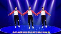玫香广场舞《爱恨一笔勾销》32步附教学视频