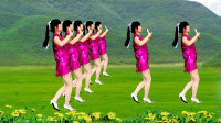 广场舞视频大全 教学免费学《舞女泪》好听